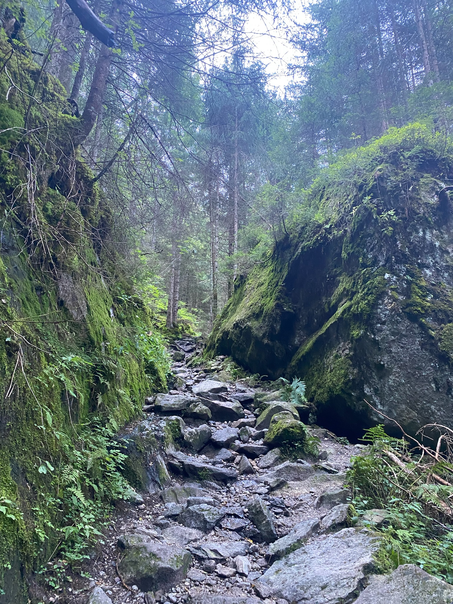 Point of view of the Alter Tauernweg rocky walking trail